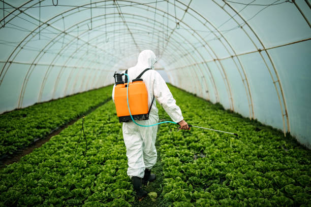 Best Local Pest Control Services  in Hemby Bridge, NC