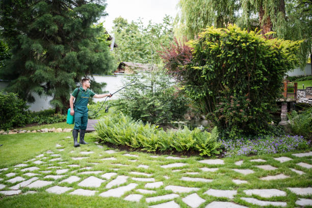 Best Affordable Pest Control Services  in Hemby Bridge, NC