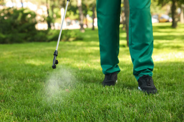 Best Affordable Pest Control Services  in Hemby Bridge, NC