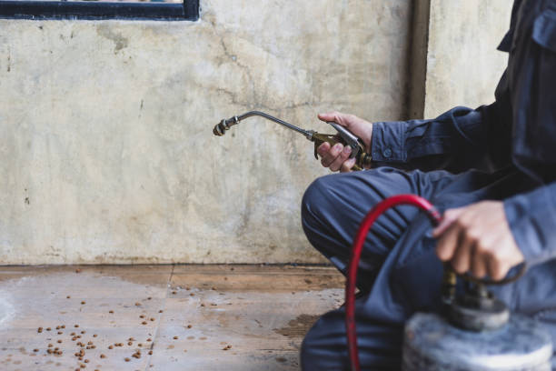 Best Mosquito Control Services  in Hemby Bridge, NC